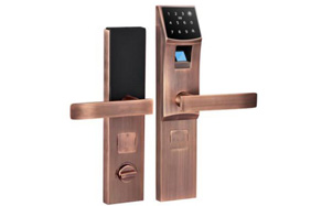 GXTWL-ZNMS-X1智能指纹门锁